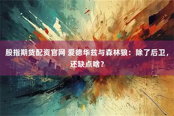 股指期货配资官网 爱德华兹与森林狼：除了后卫，还缺点啥？